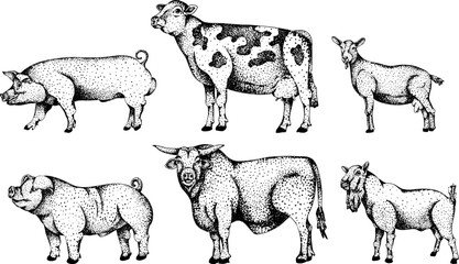 Intricate black-and-white engraving of a cow and foal, perfect for farm, equestrian, or rustic design projects.