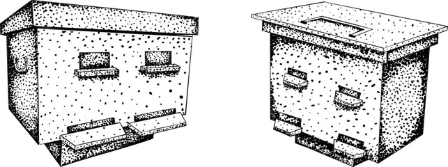 Intricate black-and-white engraving of two beehives, perfect for beekeeping, nature, or rustic design projects.