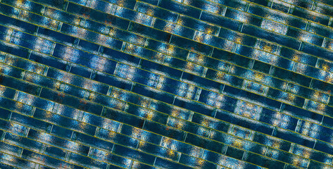 Colorful transparent glass bricks forming a decorative wall