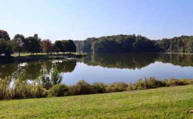 The quiet lake in the park on a sunny day.