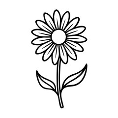 white flower isolated on white background