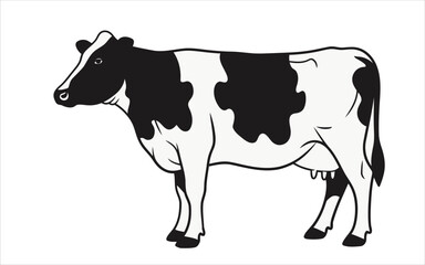 Vectorized Cow for print, sketch, Drawing, Decoration