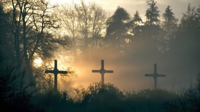 Early morning memorial crosses stand solemnly amidst fog and trees,