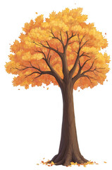autumn tree isolated oak maple falling leaves trunk brown orange yellow seasonal fall season change
