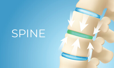 Spine Cushioning and Shock Absorption Concept