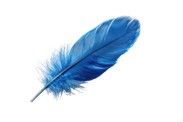 Vibrant blue feather, detailed texture