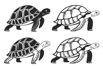 Set of silhouette turtles in various poses on white background.