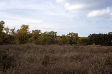 Golden Reflections Of Autumn Nature