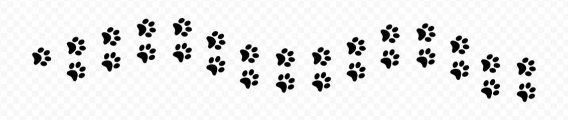 Paw print of dog isolated on transparent background. cat paw print. cat walk foot print. Paw print of dog PNG