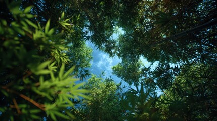 Looking up into dense, overlapping green leaves creating a lush, vibrant natural canopy.