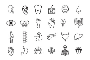 Collection of hand drawn medical icons representing human anatomy and organs