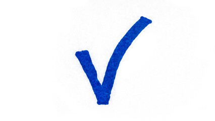 Hand-drawn blue check mark symbol on a transparent background.