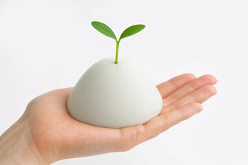 Soap Foam and Bubbles on White Background