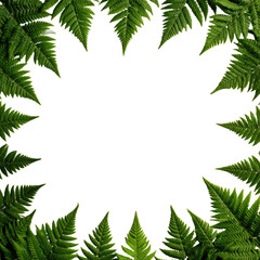 A dark central void is framed by lush, green fern fronds, creating a natural border