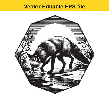 Vector art of hexagonal framed vector graphic of a fox drinking water