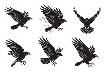 Fototapeta premium Dynamic set of crows or ravens in flight, with different wing positions. Bold black silhouette vector illustration. Birds.