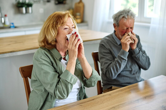 A senior couple  is sitting at a table with a tissue in his hand. He is wiping his nose and he is in a state of discomfort