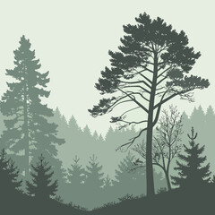 Vector art of silhouette of a coniferous forest