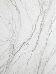 Fototapeta premium White marble texture with grey veining, elegant and modern