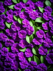 Vibrant purple flowers bloom amidst lush green leaves, nature's beauty