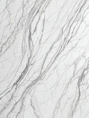 White and gray marble texture with intricate veining