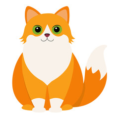 Orange cute cat sit calm on white background.