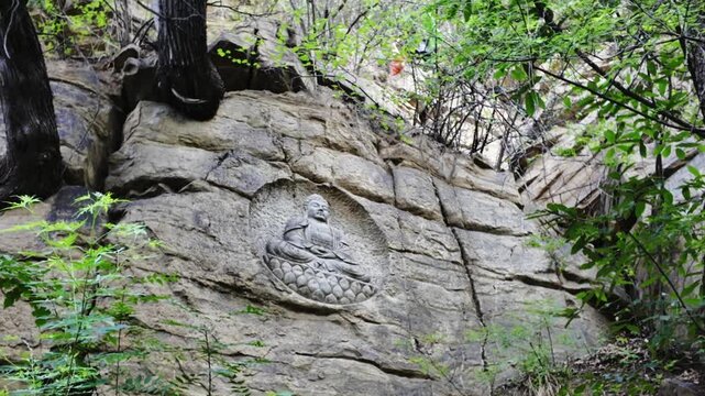 Many trees grow from rock crevices; surrounded by these trees stands a Ming Dynasty Buddha stone carving.