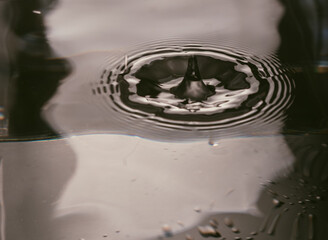 225.Crown Splash and Ripples from Droplet Impact