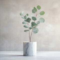 Elegant eucalyptus plant in a marble pot.