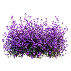Naklejka premium Vibrant Purple Flower Shrubbery in Isolated Transparent Field
