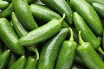Many wet green jalapeno peppers as background, closeup