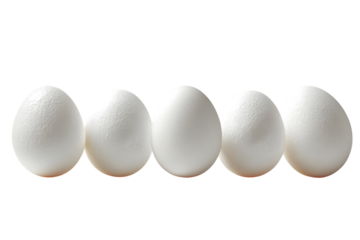 Five fresh white chicken eggs arranged in a neat row on a plain background, symbolizing uniformity and purity