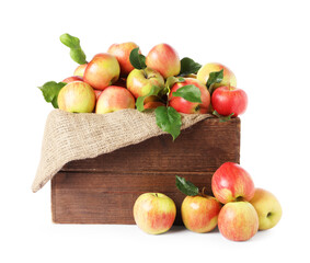 Fresh ripe apples with green leaves in wooden crate isolated on white