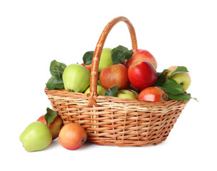 Fresh ripe apples with green leaves in wicker basket isolated on white