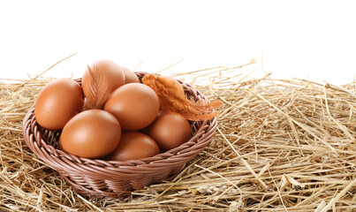 Raw chicken eggs, feathers and wicker basket on straw against white background. Space for text
