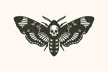 Death moth with skull engraving vintage style vector illustration