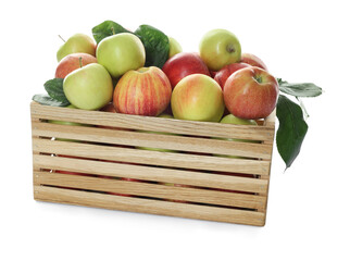 Fresh apples in wooden crate and green leaves isolated on white
