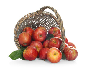 Fresh apples in wicker basket and green leaves isolated on white