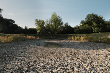 Dry environment with dried up pond and cracked clay soil.