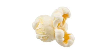A single piece of popcorn on a plain white background view , transparent png
