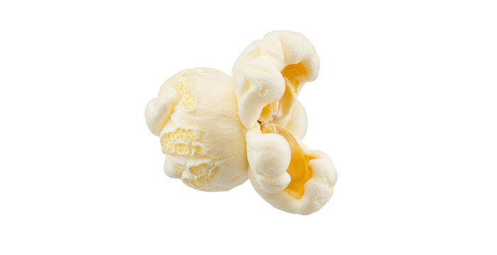 A single piece of popcorn on a plain white background view , transparent png