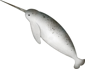 watercolor narwhal © Je