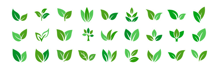 Green leaf icons set, ecology and nature elements, eco signs and organic symbols, leaves vector collection, green leafs illustration, botanical outline design on transparent background.