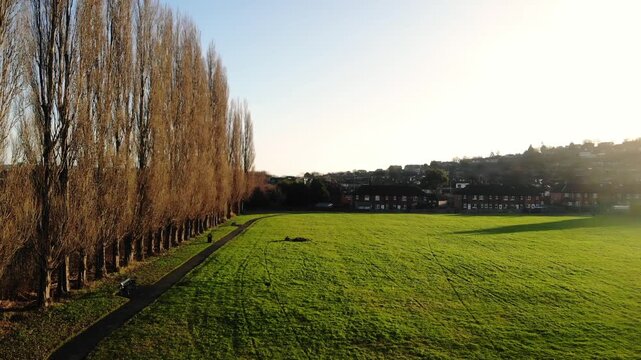 Public urban park with row of trees on council estate 