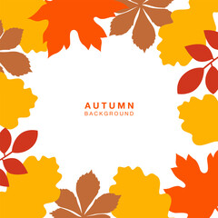 Autumn leaves. Abstract background with autumn leaves. Cute vector frame material. Vector illustration.