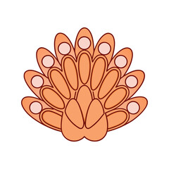 Stylized illustration of a vibrant orange peacock feather fan with circular eye spots against a stark black background creating a graphic and decorative design element