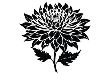 Elegant Black Silhouette of a Chrysanthemum Flower with Stem and Detailed Petals