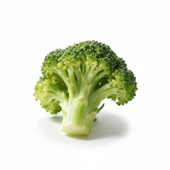 Fresh broccoli floret isolated on white background, realistic vegetable photo with vivid green color and natural soft light. Healthy organic food photography for advertising and diet.