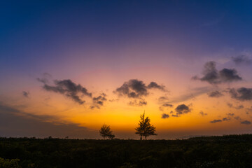 panorama of a Twilight sky with tree silhouette before sunrise, Majestic Sunlight Cloud fluffy,Beauty Dark Blue Hour on Dusk,Purple Nightfall Silhouette on twilight.