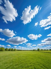 Open field, blue sky, and fluffy white clouds. Sunny day, nature scene